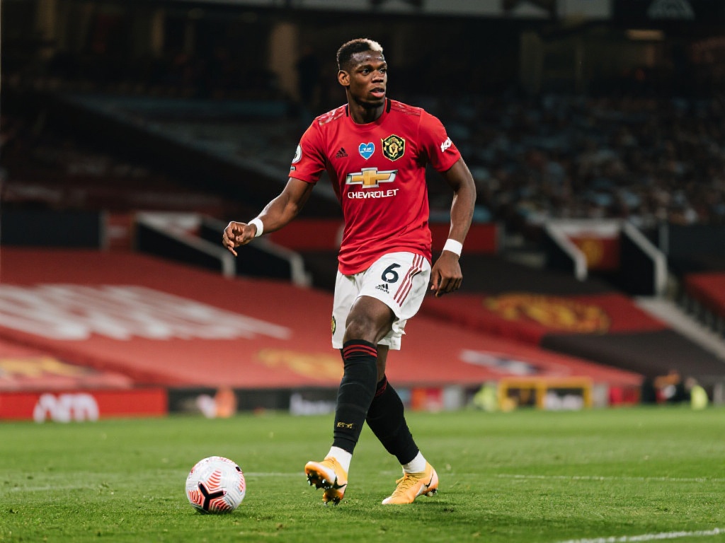 重视程度不 重视程度不